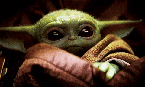 Cute-baby-animal GIFs - Get the best GIF on GIPHY