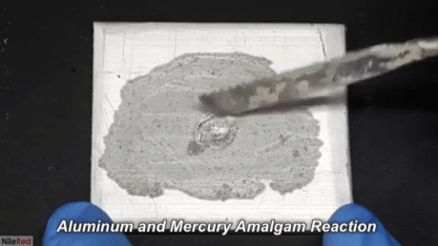 Aluminum And Mercury Amalgam Reaction
