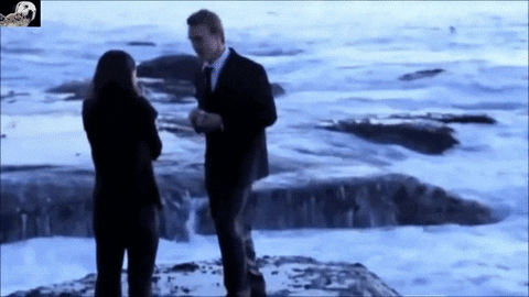 Proposal GIF - Find & Share on GIPHY