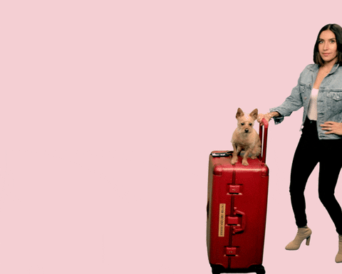 chica con su maleta y su perrito