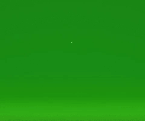 giphy.gif