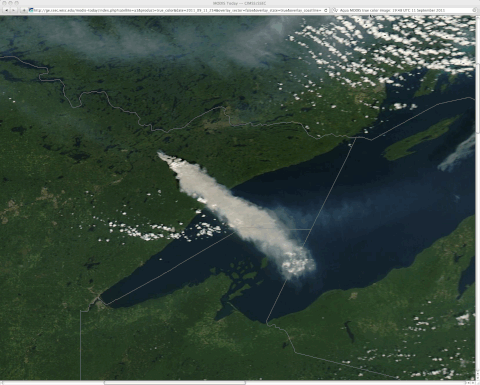 Minnesota GIF - Find & Share on GIPHY