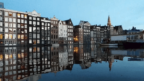 Amsterdam GIF - Find & Share on GIPHY