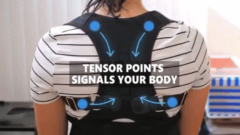 Magnetic Posture Corrector – JiffyTop