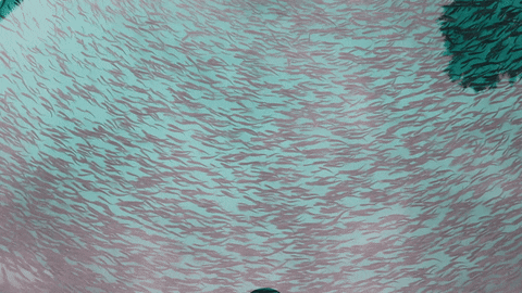 Fish GIF