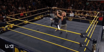 NXT (15 de enero 2020) | Resultados en vivo | El regreso de los Time Splitters 14