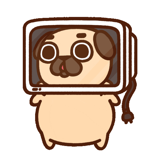 pug with computer gif
