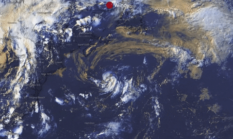 Dolly tropical Storm