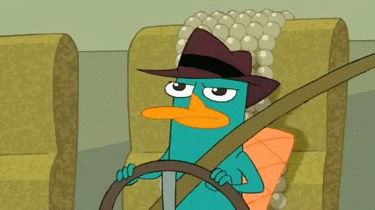 Image Perry GIF - Find & Share on GIPHY