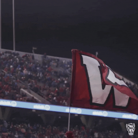 An animated gif of a sequence of flags being carried past by people out of sight, with individual letters on each flag that spell out WOLFPACK.