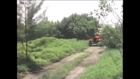 Santa And The Ice Cream Bunny GIF