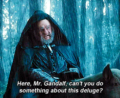 Gandalf GIF - Find & Share on GIPHY