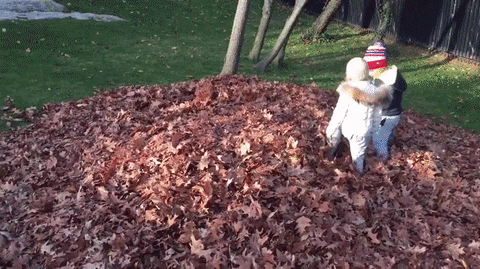 kids tom costume turkey brady