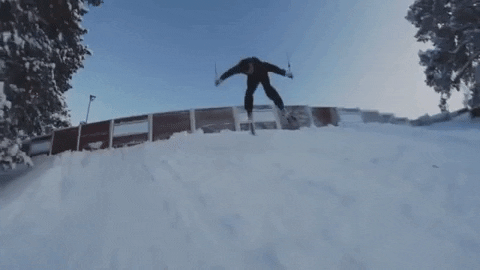 giphy.gif