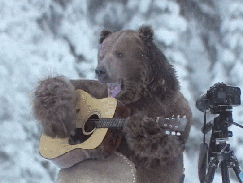 GIF of a brown bear playing guitar in the snow.