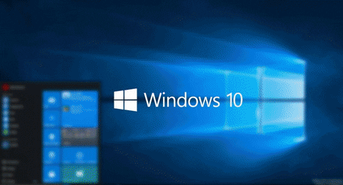 windows 10 not loading gifs