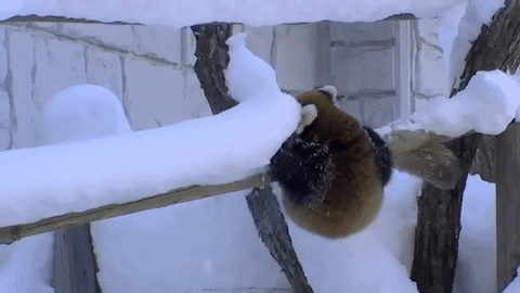 MRW I've done all the cocaine