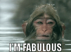 Fabulous Monkey GIF - Find & Share on GIPHY