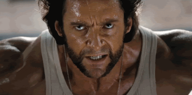Image result for wolverine gif