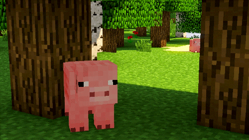Forest Pig GIF - Find & Share on GIPHY