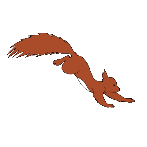 Zorrito corriendo
