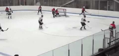 Fight Hockey GIF - Find & Share on GIPHY