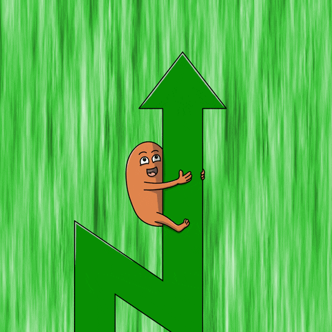 giphy.gif