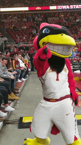 giphy-downsized-large.gif?cid=ecf05e477p