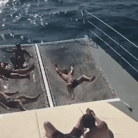 Enjoying boat ride to fullest in funny gifs