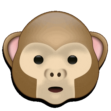 monkey