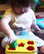 I Win Square Peg In A Round Hole GIF - Find & Share on GIPHY