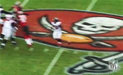 Atlanta Falcons GIF by NFL - Find & Share on GIPHY
