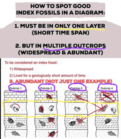 Best index are the fossils Geologic Time:
