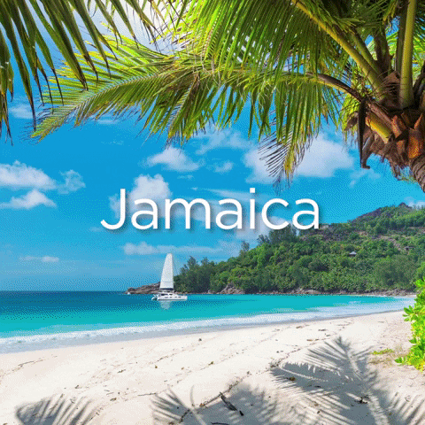 Afbeeldingsresultaat voor jamaica beach gif