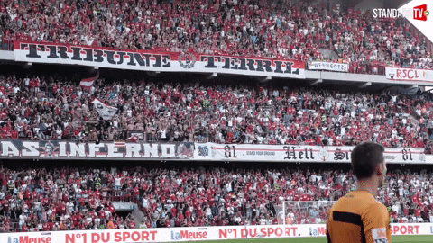 Football Fans GIF by Standard de Liège