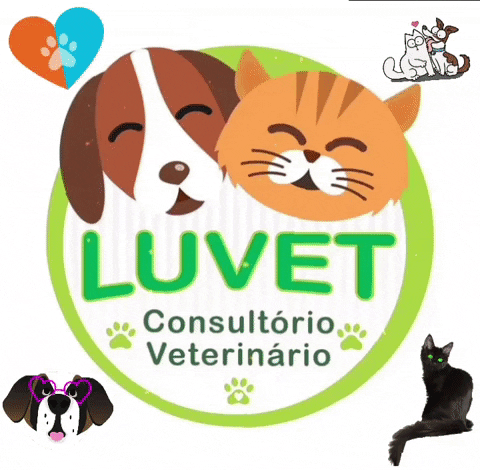 Luvet Consultório Veterinário