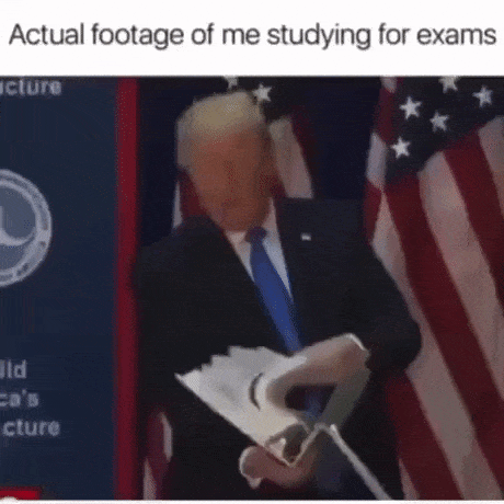 Me studying before exam be like in funny gifs