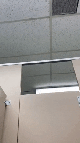 Another day at restroom in funny gifs