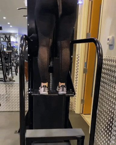 giphy.gif