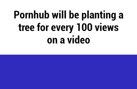 Pornhub take their campaigns seriously, as we can see from the Arbor Day campaign to give America wood