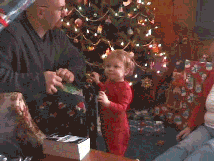 Animated GIF of the day for Sunday, 30 October 2016 - Christmas Fail