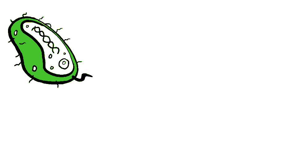 Bacteria GIF - Find & Share on GIPHY