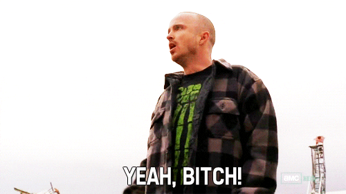 Αποτέλεσμα εικόνας για jesse pinkman bitch gif