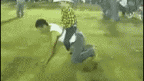 Man Taming best Gif