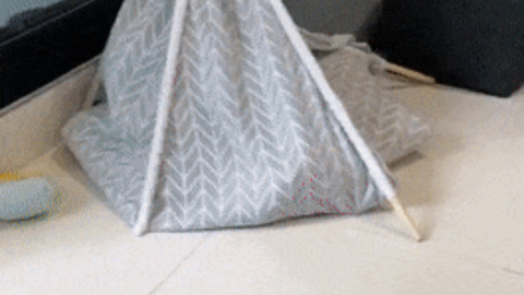 Doggo got a tent
