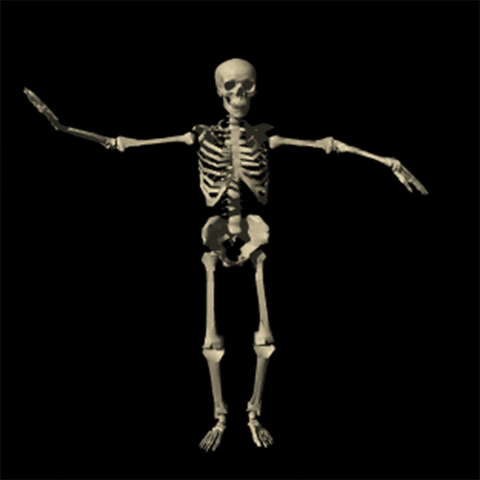 Image result for bones gif