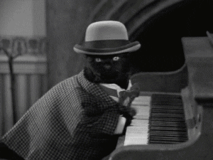 A GIF of Salem the cat playing a piano.