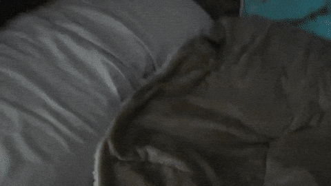 Lucycat Gif Lucycat Gif