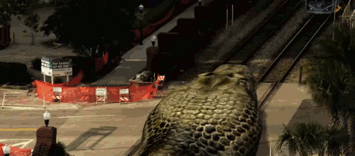 Deepthroat GIF - Find & Share on GIPHY
