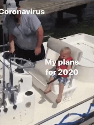All of us in 2020 in funny gifs